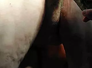 Hey oma, why are you fucking that cucumber in your granny kut?