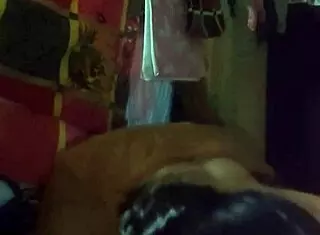 Desi Village Bhabhi GIVES BLOWJOB and RIDES DICK with MOANS in Full Video