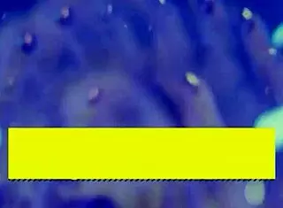 Victoria Lobov Takes Four Cumshots In Mouth And Shares With Stepdaughter Callie Black