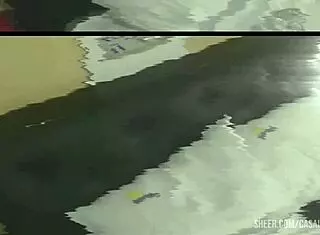 Oh man, I went to Brazil to hook up with a dwarf woman!