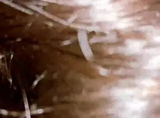 Bigass desiwife 4u shares update 5 with xvideos mj bhand kachhoda in hd from may 31 2025.