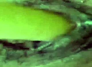 latina dana barzagli hints at small tits and big ass play with tattooed dildo in solo masturbation