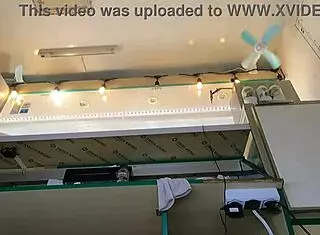 This super sexy slim eighteen-year-old chick is working in pear thongs and going braless outdoors.