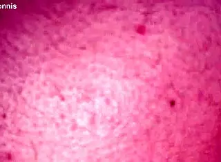 Mi Como Penetr� Con Anal a La Novia De Mi Hermano! En Una Reuni�n Familiar Bajo Las Cobijas a Escondidas!