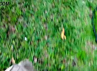 Ebony Redhead Dick Suckers In Amateur Blowjob Group With Big Cock Cum Swapping