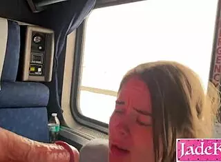 Couple fucks roughly in train cabin during amtrak travel