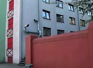 visitors explore the vibrant pascha brothel in koln cologne germany during a guided tour part 2