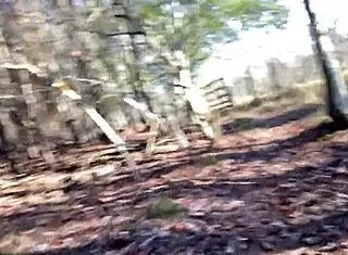 clitlicker662 shares an intriguing update from dec 12 2024, capturing solo outdoor masturbation in the forest with naked exhibitionist flashing and sloppy clit play