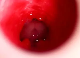 Best anal creampie floods lens in 4k glory