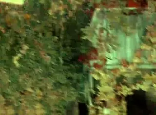 velma cosplay solves mysteries with scooby in outdoor public adventure