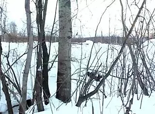 two snow sluts warm teacher's cock deepthroat