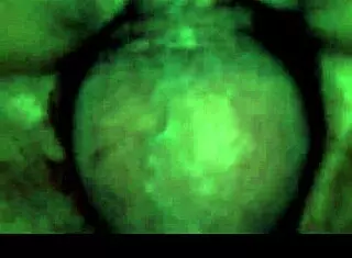 ¡Pussy latina screams hard anal creampie pounding!