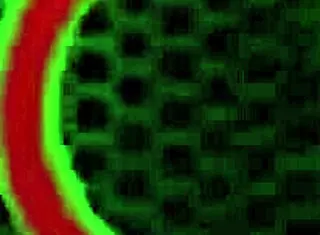 Man, mocha menage slurps rome majors bbc like a pro!