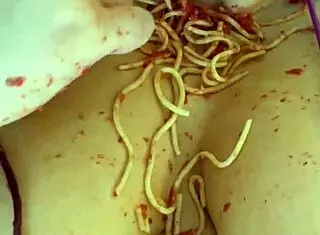 my crazy muslim stepsister masturbates wildly for my bbc 😈 seductive arabian snowwhite beverly hills pornstar kinky food fetish