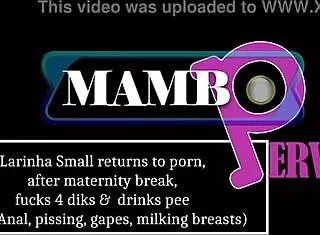 Larinha milks lactating breasts fucks four BBCs DAP anal gapes