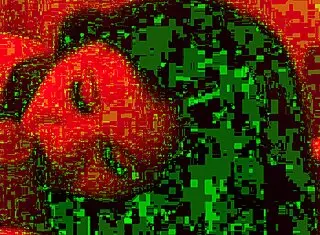 Tiffany's fat BBW body eagerly sucks interracial cock in hotel room