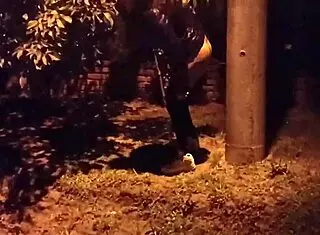 naughty daughter-in-law cheats with father-in-law after neighborhood party