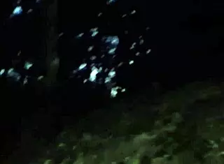 ever wondered about giving ass in the dark bushes at night creampie big cock thrill?