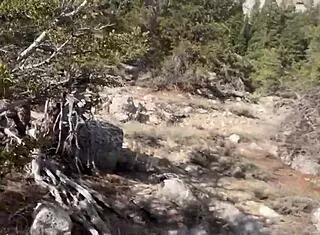 Shaved blonde babe's bubble butt pussy creampied by monster cock pov downhill!