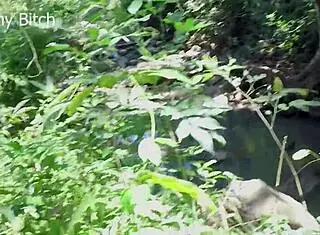 Struggling to find perfect forest spot for outdoor sex adventure