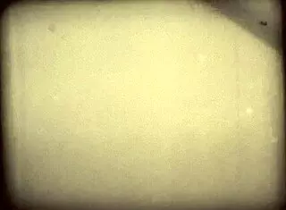 Victorian Gentleman's Erotic Confessions Vintage Women Beaver Tales