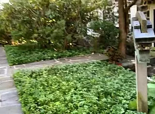 i love how the 26 edenists handmade objects break into tate modern consciousness