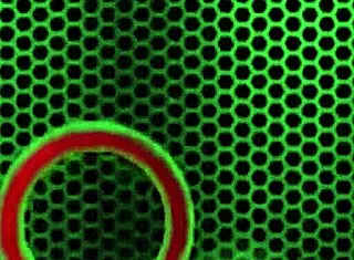 hey subgirl0831, wanna see rome major destroy that busty blonde pussy?