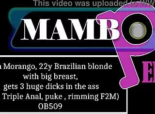 lola morango takes 3 huge bbc's in ass dap