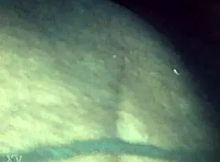 Rain-Soaked Stiletto Walk In Sexy Wet Nylons