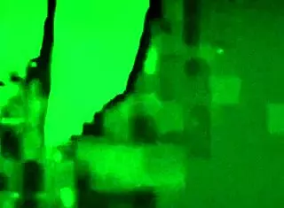 whats my fat wife sucking off that stranger for?