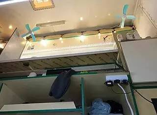 hot 18yo brunette's upskirt pussy caught on hidden cam at work