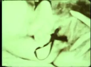 DARK LANTERN VINTAGE INTERRACIAL EROTIC CONFESSIONS GENTLEMAN