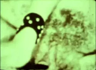 DARK LANTERN VINTAGE INTERRACIAL EROTIC CONFESSIONS GENTLEMAN