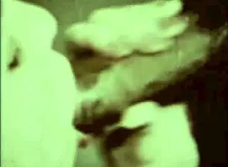 DARK LANTERN VINTAGE INTERRACIAL EROTIC CONFESSIONS GENTLEMAN