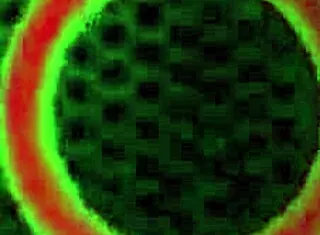 slim redhead lily cade straps and dominates chubby asian maxine x