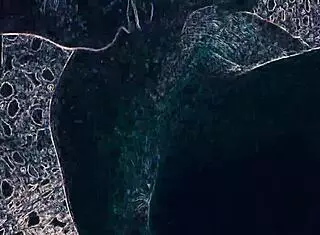 bend over, lick this ass deep then suck cock in club lights?