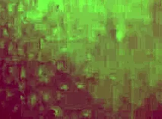 that horny brunette pussy in homemade video