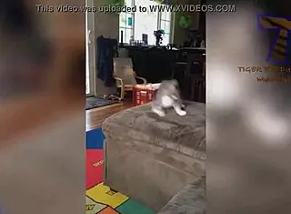 Young Girl Reveals Hairy Beaver In Funny Comic Scene