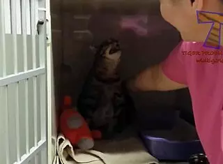 Young Girl Reveals Hairy Beaver In Funny Comic Scene