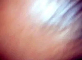 san antonio amateur girl gives an amazing blowjob to her interracial lover