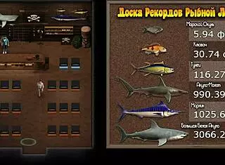 Treasure Of Nadia Puzzles 1-6 Walkthrough Guide E3 88