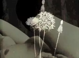 i love vintage interracial taboo