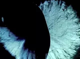 i love vintage interracial taboo