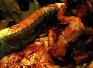 have you seen king curing chocolate wrestling olympics movie with sexy models in pool?