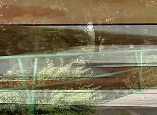 I love sucking my husband's cock