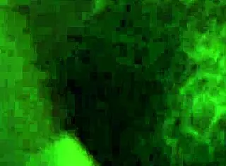 Exciting Hairy Pussy Play With Toys!