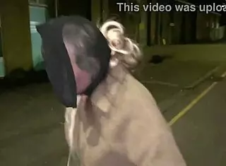 omg this milf pornstar is pushing stuff into her shaved pussy while running on the street 😲