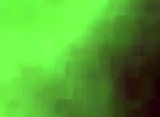 I suck my friend's huge cock!