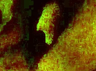 Whoa Nelly, What A Surprise