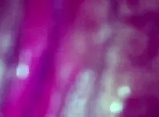 My POV closeup of wife sucking cock with dildo 😏